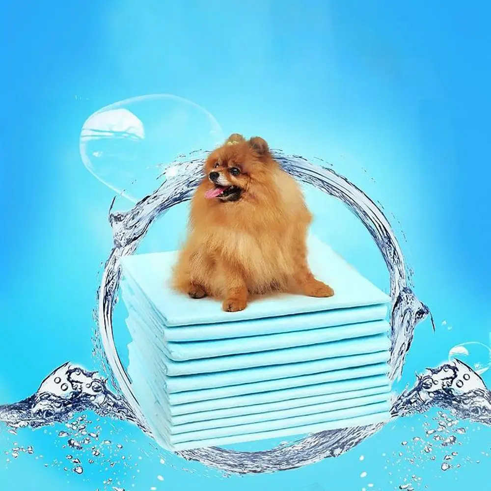 20 штук товары для дрессировки домашних животных колодки Туалетная Бумага