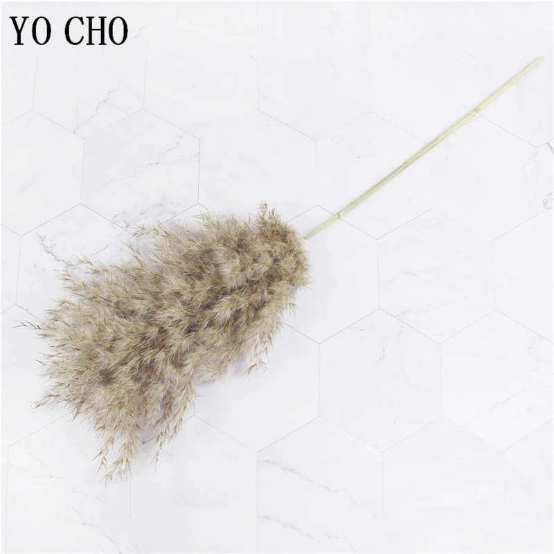 

YO CHO 5Pcs Raw Color Real Dried Pampas Grass Fake Flowers Pantas Artificiales Para Decoracion Natural Plants Home Wedding Decor