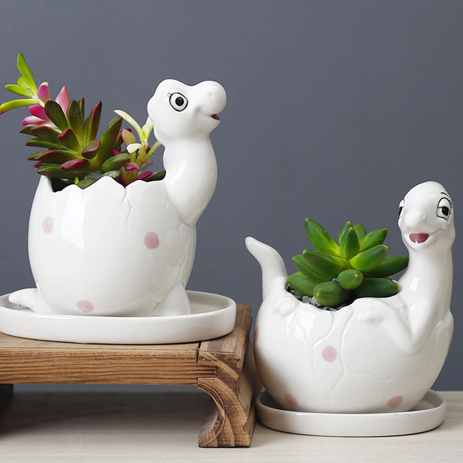 

Creative Miniature Model Home Decoration Cartoon Succulent Flower Pot Creative Fairy Gardening Plants Potted Animal Flowerpots