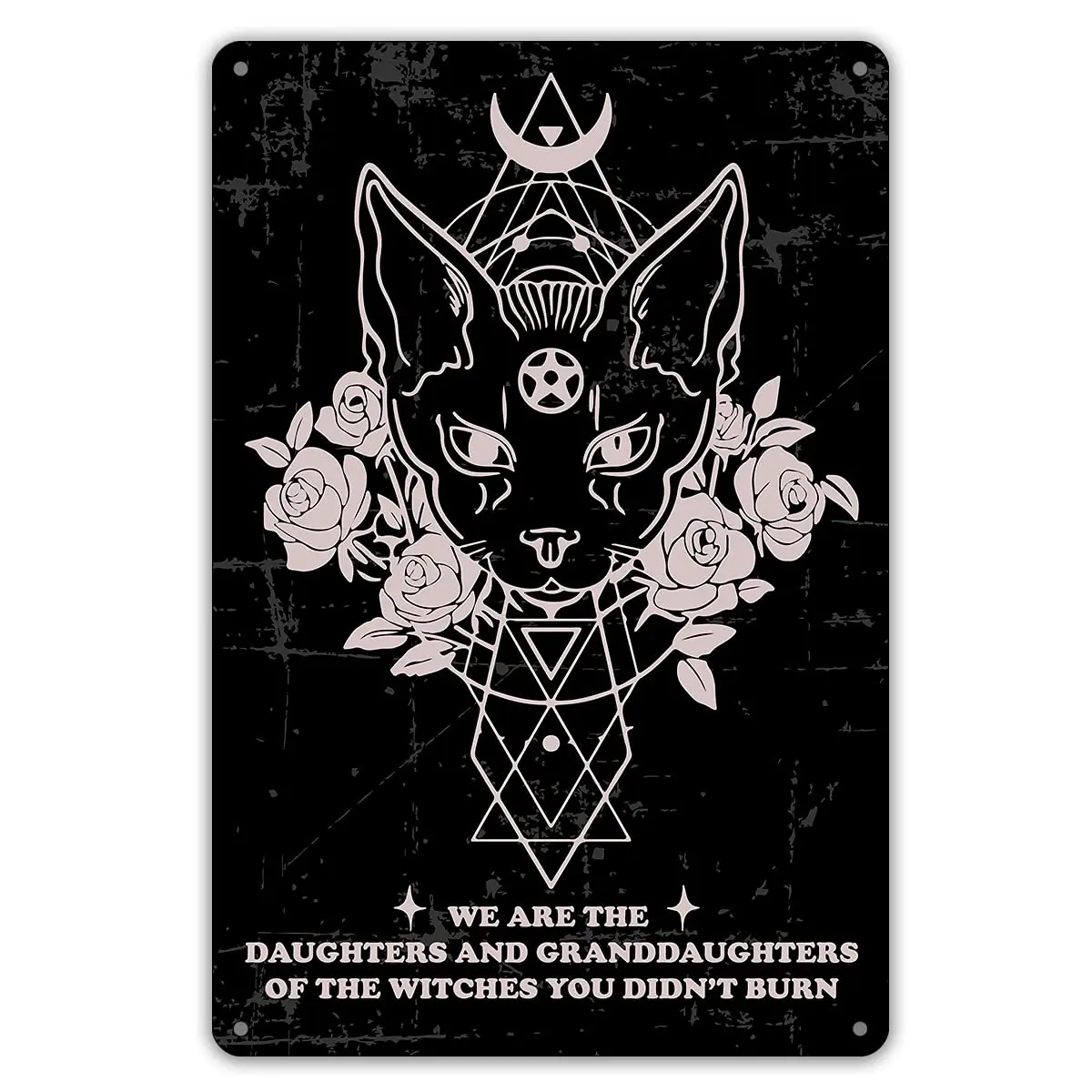 

Black Cat We are The Daughters and Granddaughters of The Witches You Didn’t Burn Metal Tin Sign Wall Decor Witches Signs