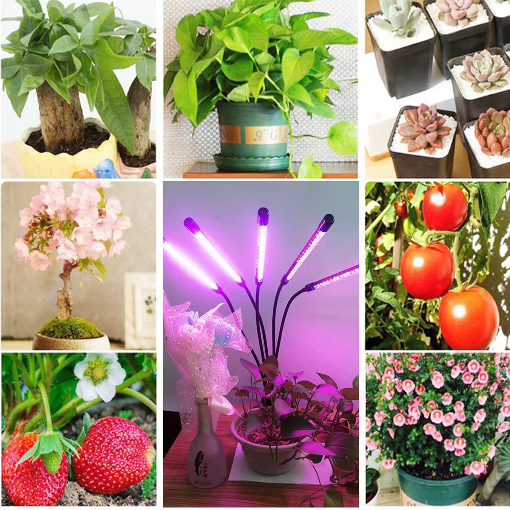 

BORUIT LED Grow Light USB Phyto Lamp Full Spectrum Fitolamp With Control Phytolamp For Plants Seedlings Flower Home Phytotape