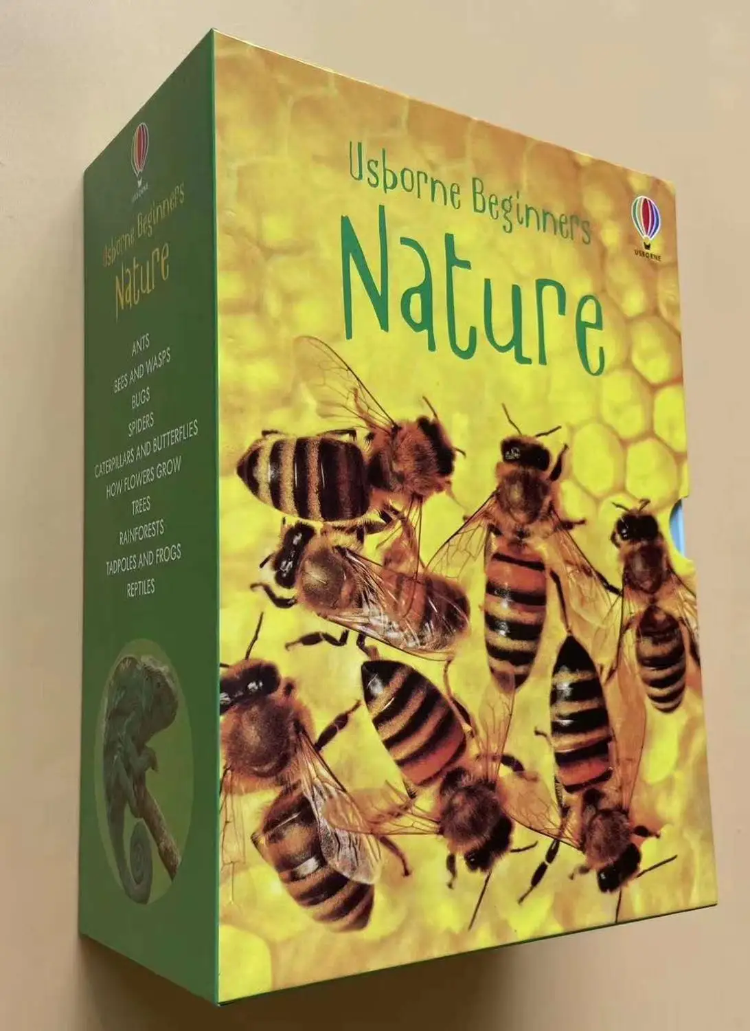 Книга/Набор 6-10 лет для начинающих естественных английских картин раннее