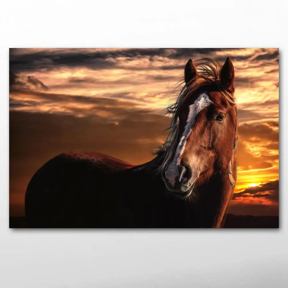 Декоративные картины, животные, обои, лошадь, закат, плакаты и принты, холст, настенное искусство для гостиной, Декор