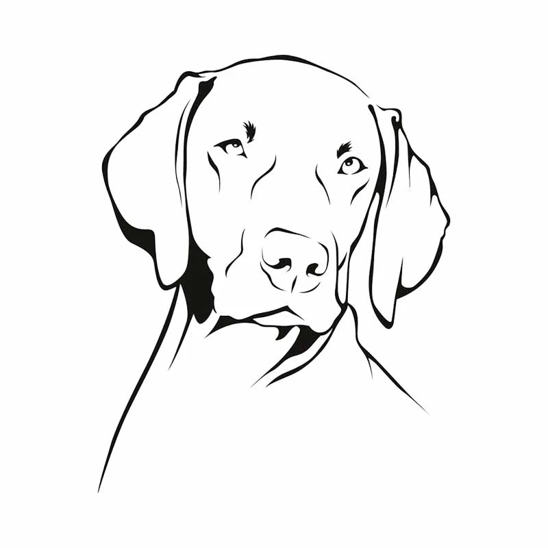

Car Sticker Weimaraner Dog Animals Pets Cartoon Automobiles Motorcycles Exterior Accssories Vinyl Decals for Bmw Audi Ford Lada