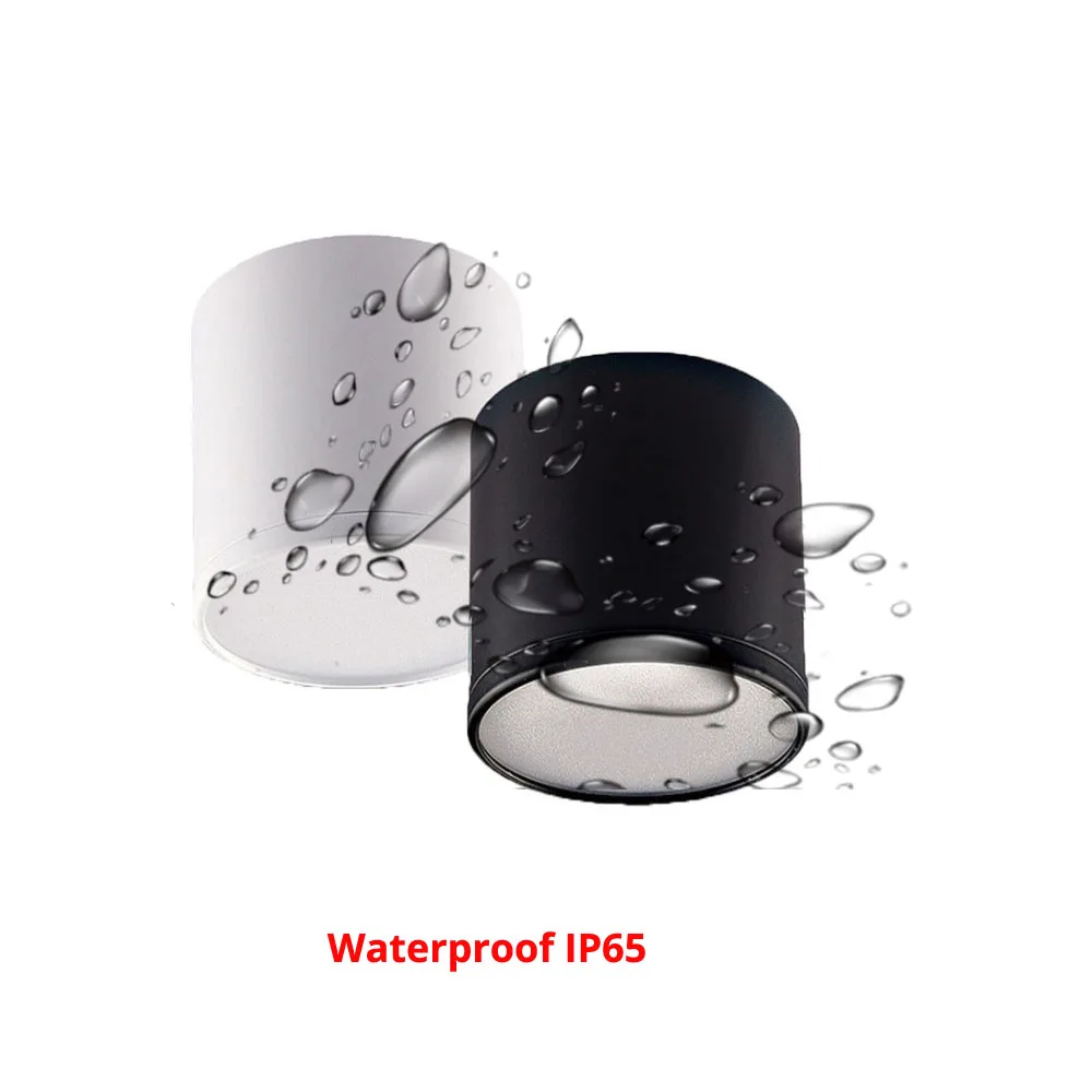 С поверхностным монтажом светодиодный вниз светильник Водонепроницаемый IP65 IP66