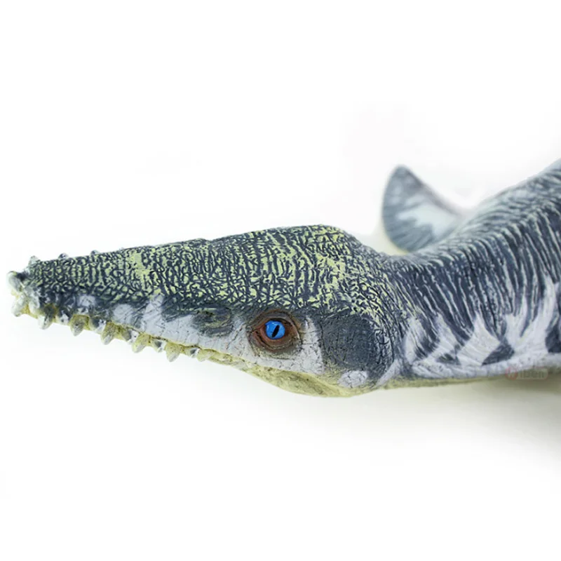 Динозавр игрушки Liopleurodon Детская игрушка Моделирование пластик мягкий динозавр
