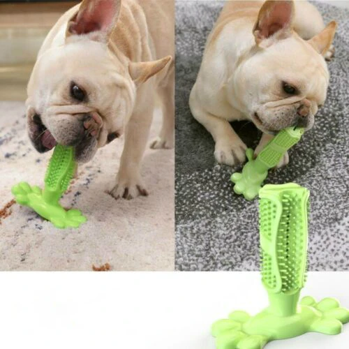 

Pet Dog Toothbrush Chew Toy Doggy Brush Stick Soft Rubber Teeth Cleaning Dot Massage Toothpaste for Small dogs Pets Toothbrushes