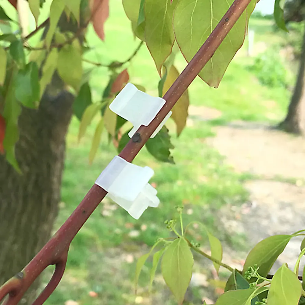 

200pcs Nursery Grafting Clamp Grafting Clips Plant Support Straightening Clips