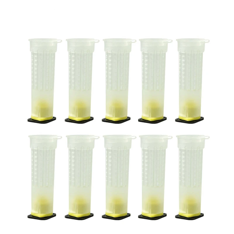 Клетка для пчелиной королевы пластиковая защитная крышка клетка сотового ящика