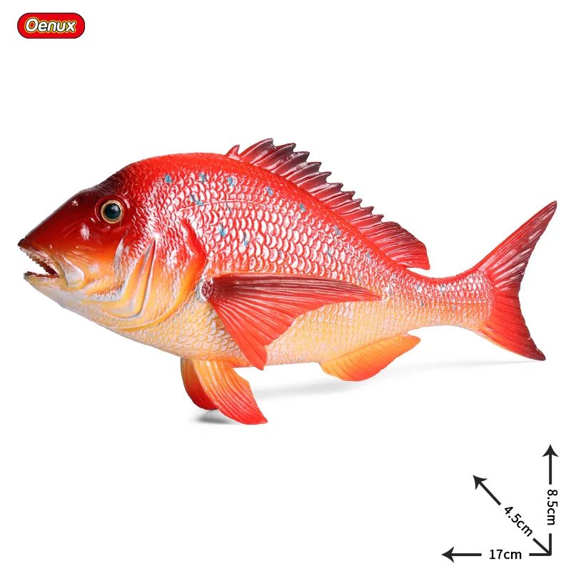 Oenux морские рыбки животные модель моделирование SeaLife Coelacanth Sailfish Фигурки ПВХ аквариум реалистичные Развивающие детские игрушки - Цвет: without box