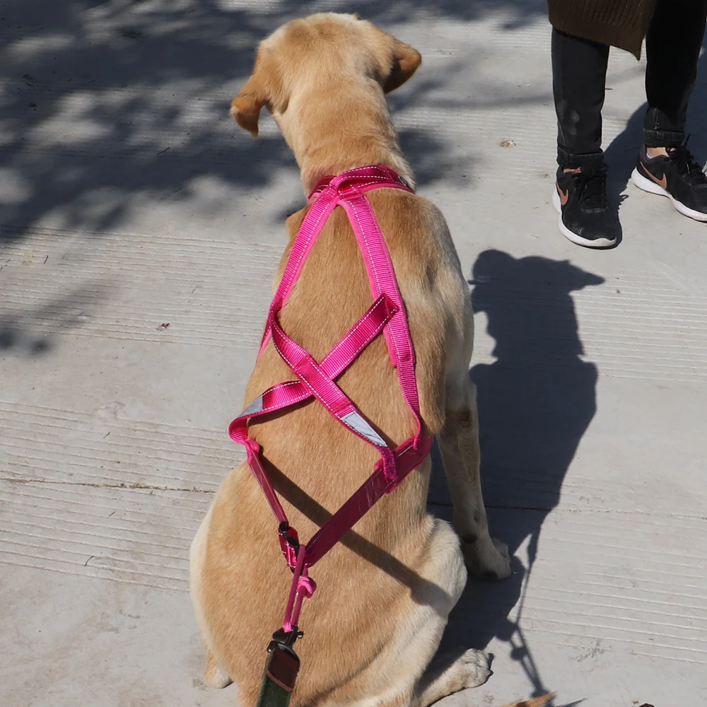 Собачья упряжка Вес проводки Pet Mushing шлейки для больших рабочих обучения собак