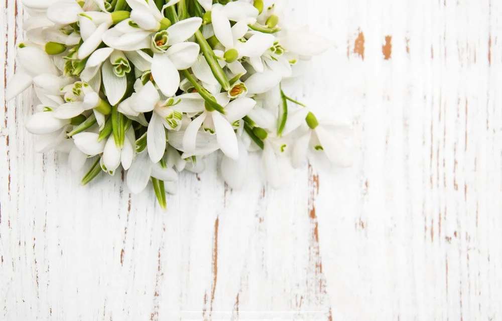 

SHENGYONGBAO Vinyl Custom Photography Backdrops Prop Wood Planks theme Photo Studio Background RT19511-300177