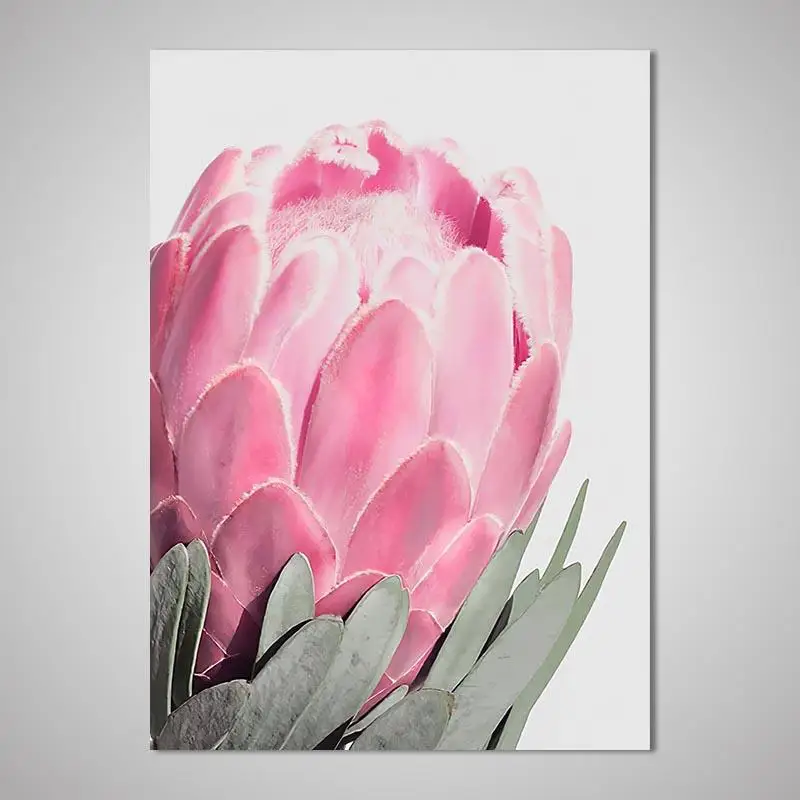 Koop Protea Cyanoides Poster Verf Op Canvas Schilderijen Home Decor Voor Woonkamer Decoratie Moderne Kunst Mode Foto Muur Art 5Y