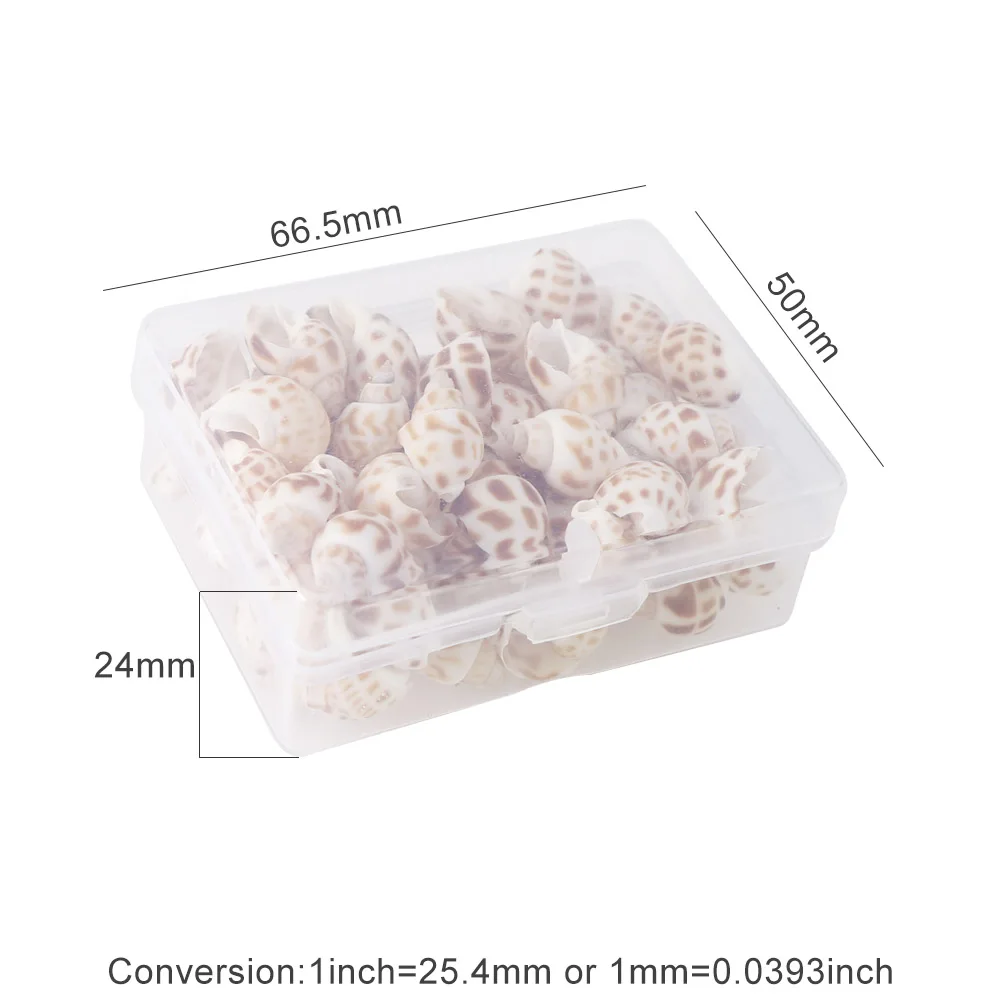 

1 Box Pattern Nature Beach Fashion Shells Sea Shells For DIY Caft Decor Jewelery Craft Accessories Holes Shell Charm Nail Shell