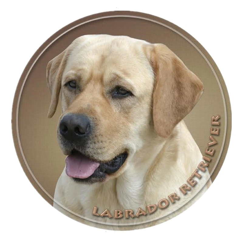 

S40420# Various Sizes PVC Decal Labrador Retriever V1 Car Sticker For Bumper Rear Window Laptop Refrigerator Toilet