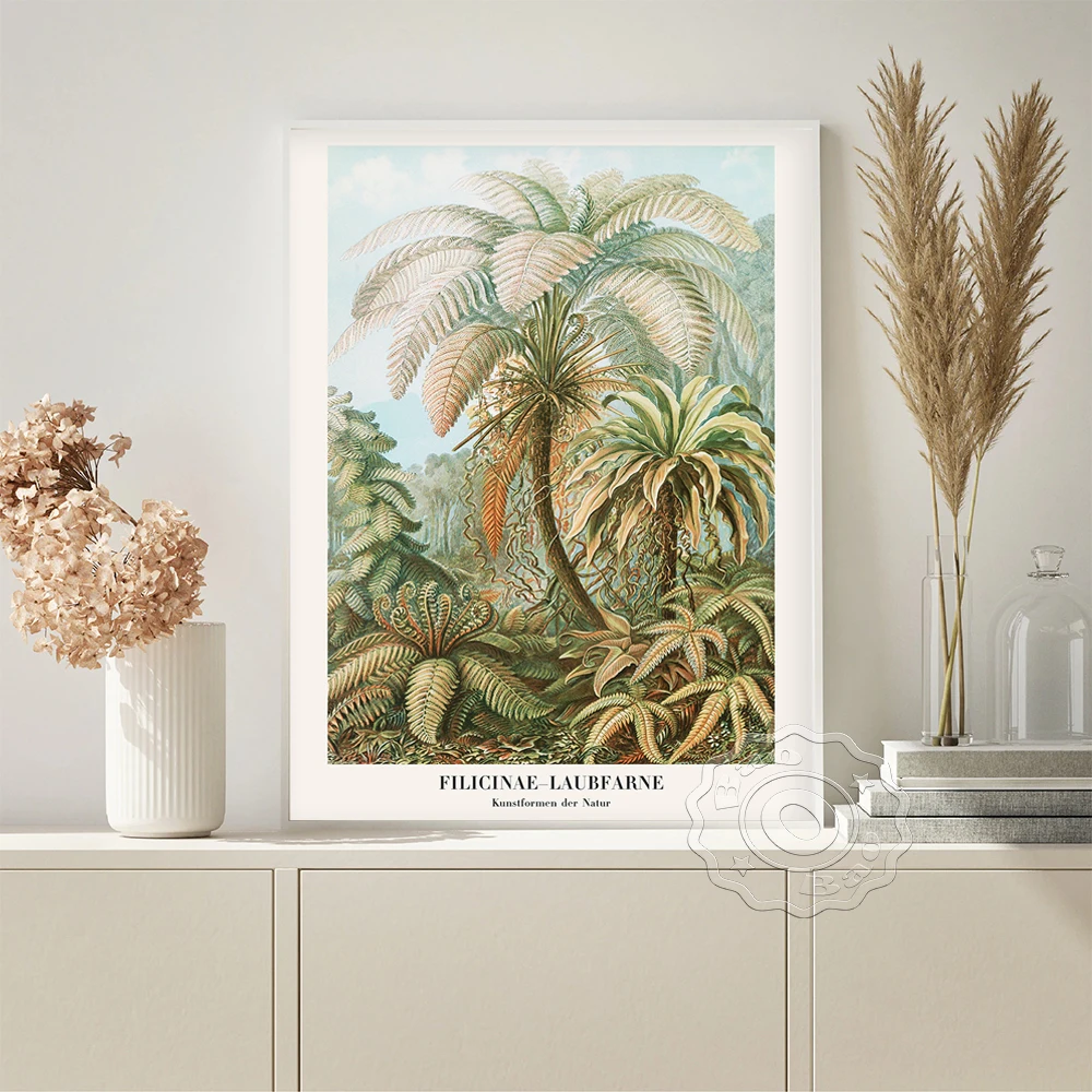 

Ernst Haeckel Filicinae Laubfarne Exhibition Antique Poster Ferns Vintage Art Prints Canvas Painting Living Room Home Decor Gift