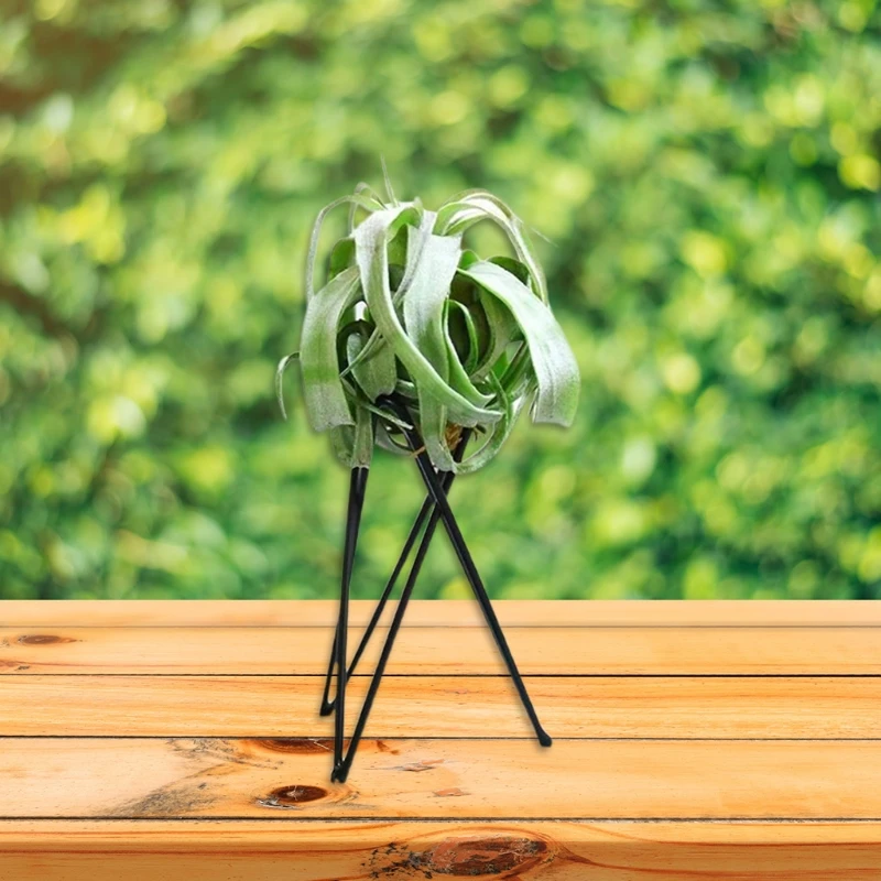 

D08D Nordic Style Air Plant Holder Metal Flower Pot Stand Geometric Iron Tillandsia Holder Art Display Home Garden Ornaments