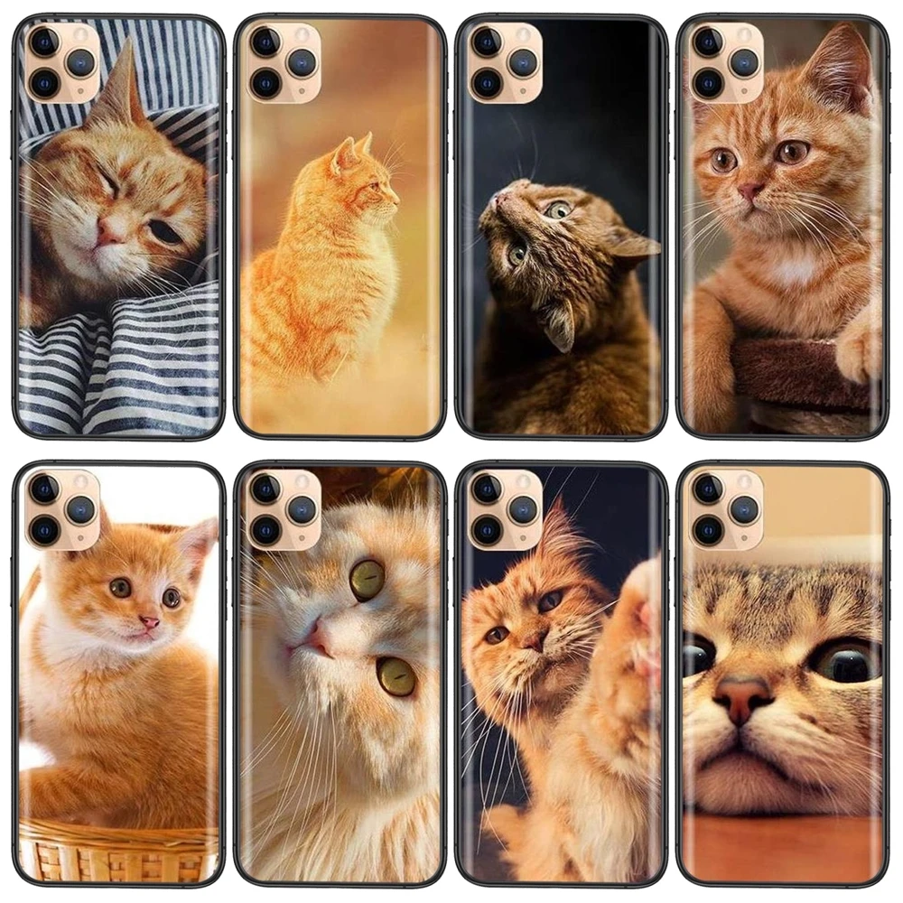 Cus для Galaxy Note 20 10 9 8 Ultra Samsung M51 M31 A7 A8 J6 J8 2018 A10S A11 Ginger Cat Pull Black Shell Pretty Hoesjes