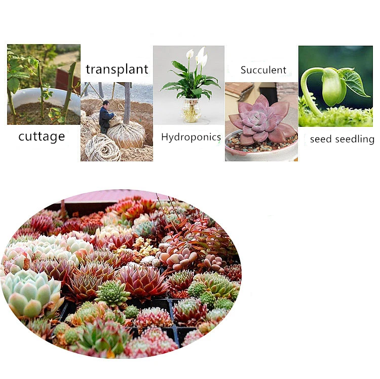 2 шт. мощный порошок для укорения цветов корней рассады удобрений садовые