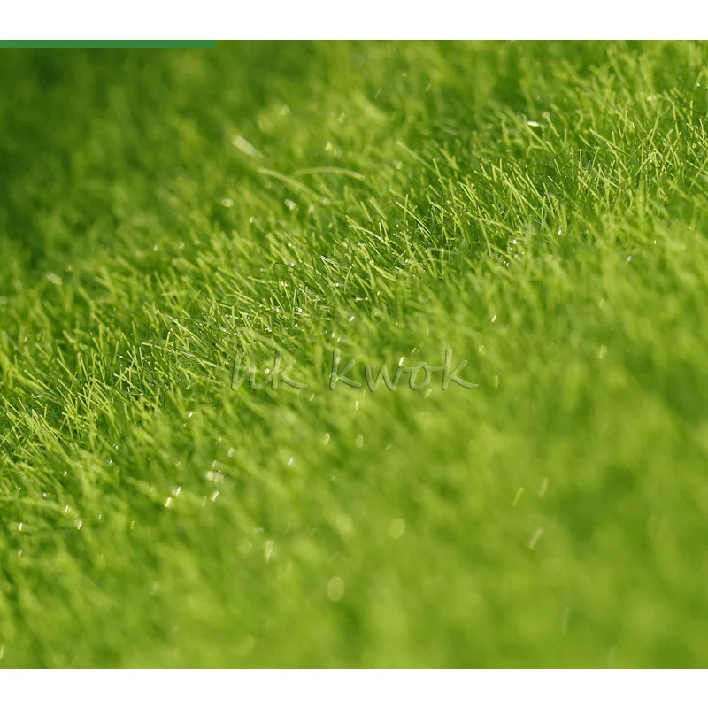 1 шт. миниатюрный резина сад орнамент DIY гриб ремесло домашнего Fairy кукольный