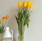Искусственный цветок тюльпана, 5 шт., реалистичный на ощупь, искусственный букет тюльпанов, украшения для сада, дома, дня рождения, подарок для свадебной вечеринки