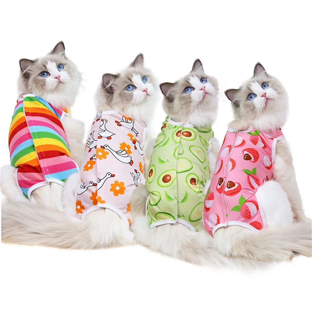

Cat Soft Clothes For Cats Sphynx Soft Fleece Coat Jackets for Outing Cute Cartoon Cat Costumes Autumn Winter Warm Pets Clothing