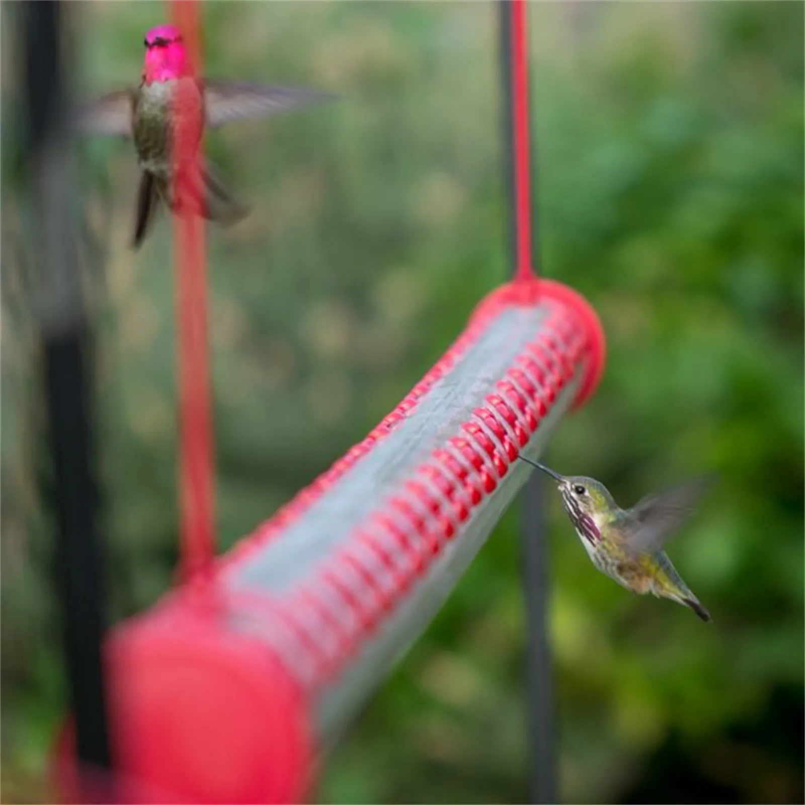 

Birds Feeding Household Garden Feeding Supplies Best Hummingbird Feeder With Hole Birds Feeding Transparent Pipe Easy To Use
