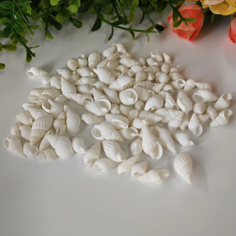 50 шт. декоративные ракушки для аквариума морские | Дом и сад