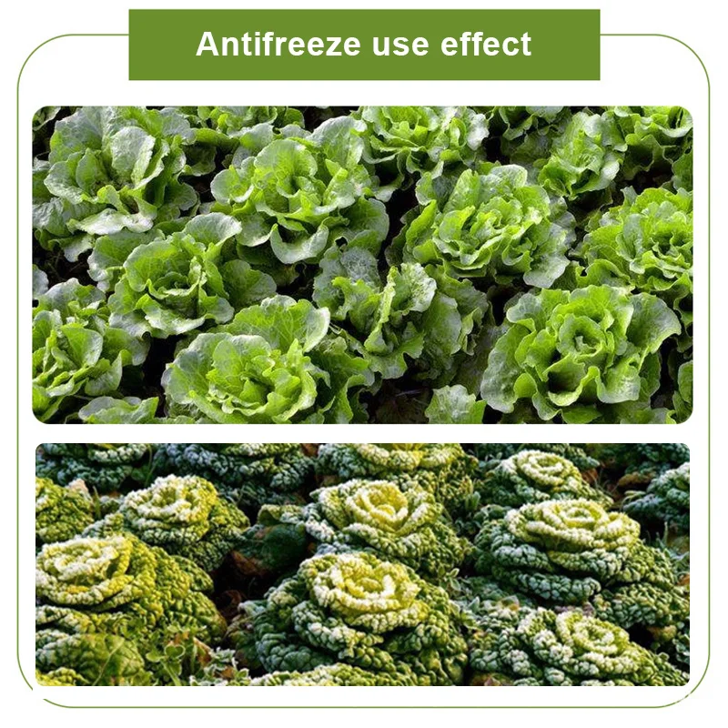 

Economical Natural Anti-Freeze for Plants Anti-Cold Antifreeze Antifreezing Agent for Flowers Fruit Plant ds99