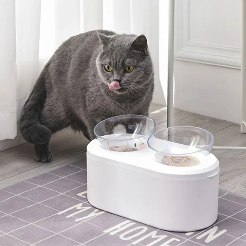 

Cat Double Bowl Cat Bowl Dog Bowl Transparent AS Material Non-slip Food Bowl With Protection Cervical Transparent High Quality