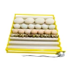 360 градусов Автоматическое вращение яиц инкубатор ролика лоток утка перепелиные яйца птицы вылупление птичьего яйца фермы инкубационных инструмент 30% OFF