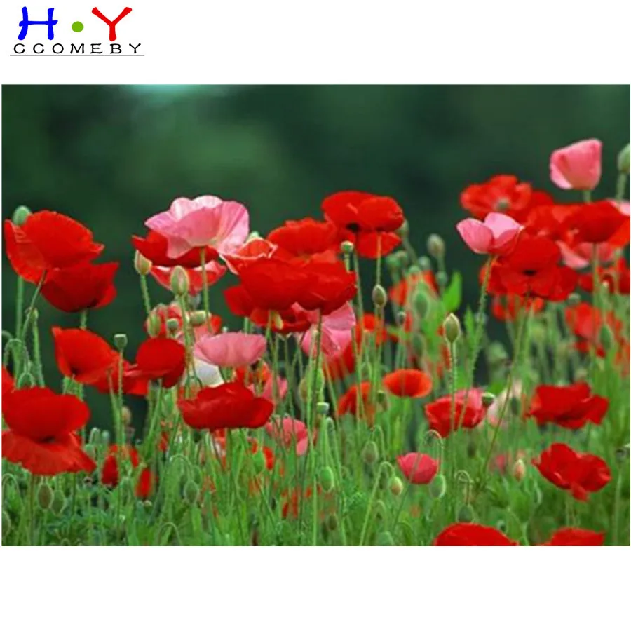 Алмазная вышивка крестиком из красного мака алмазная стразы мозаика домашний