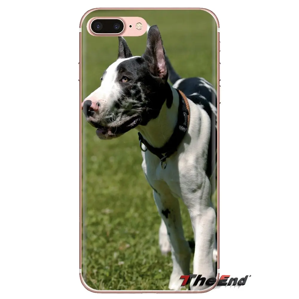 Прозрачный мягкий чехол Чехлы для Samsung Galaxy J1 J2 J3 J4 J5 J6 J7 J8 плюс 2018 Prime 2015 2016 2017 дога |