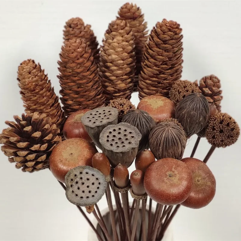 

Real Plantas Naturales Dried Flowers Pine Cones Lotus Root Daisy Ornament Florists Home Decor Crafts Christmas New Year Wedding