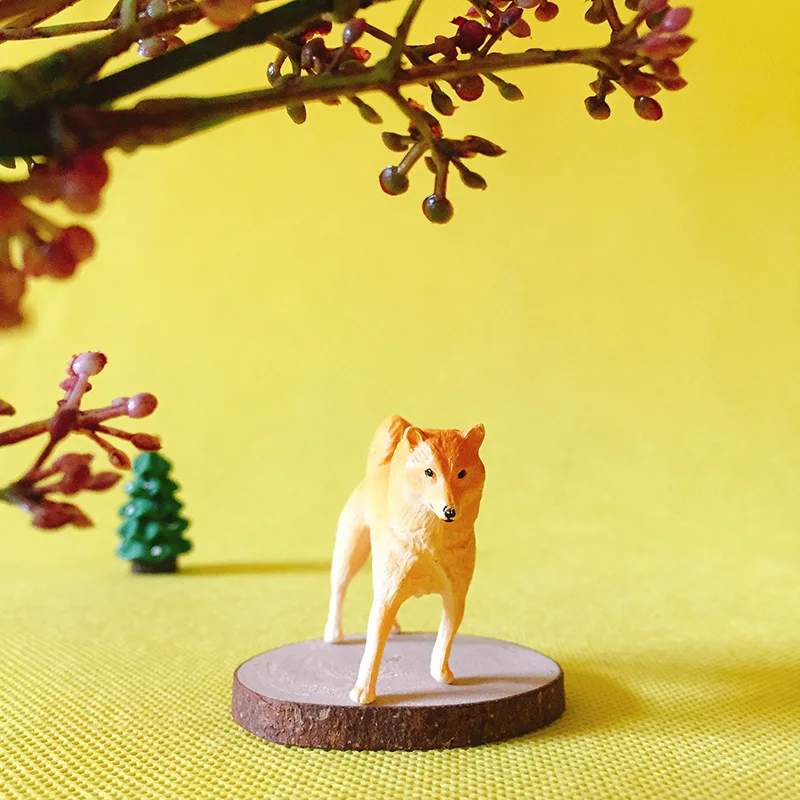 Желтый собака/сказочный садовый гном/террариум с мхом