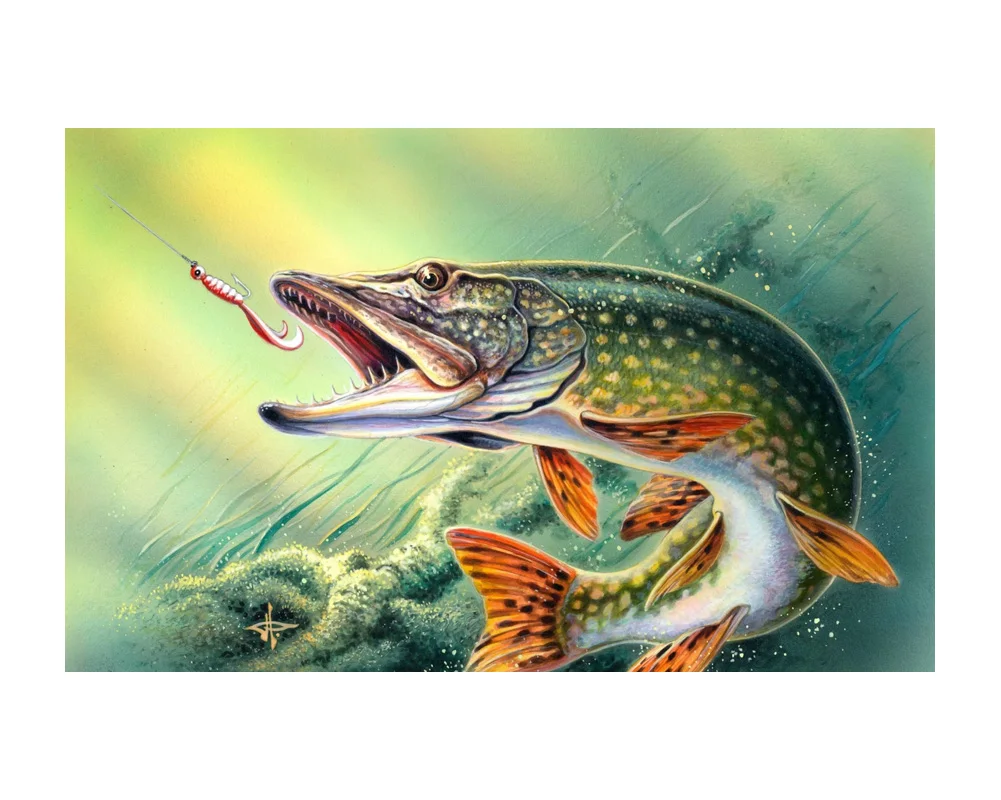 

Окунь рыбалка настенная бумага художественный постер печать картина фотобумага бумага Настенная картина 12 24 36 47 дюймов