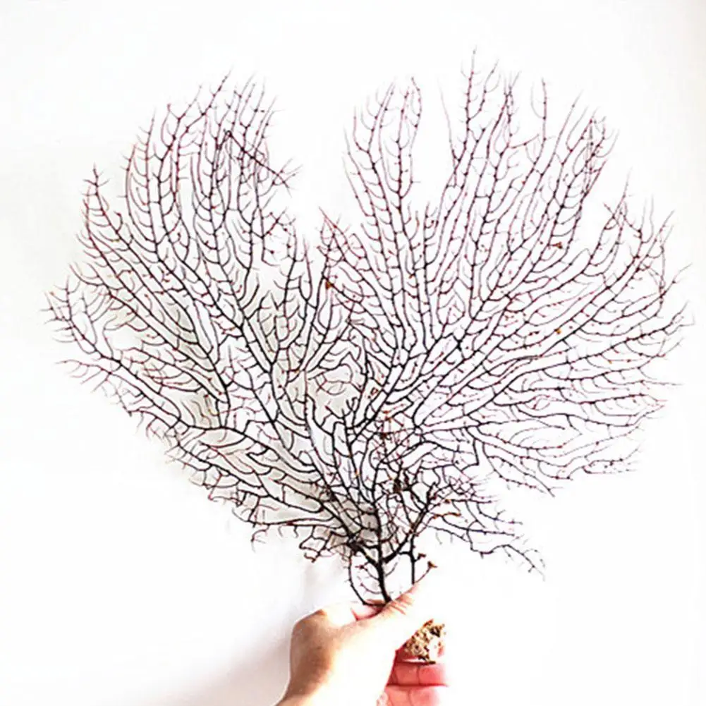 Натуральная красная ива HLBK коричневая железная ветка дерева Коралловая домашний