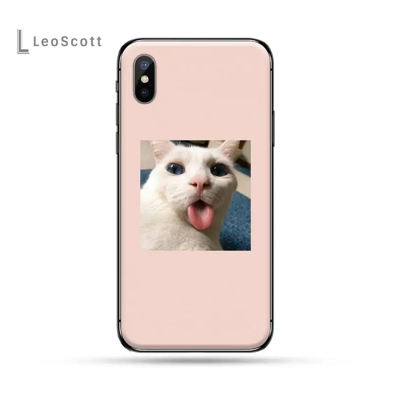 

Super Lovely cute cats photos funda coque cover Phone Case for iPhone 11 12 pro XS MAX 8 7 6 6S Plus X 5S SE 2020 XR