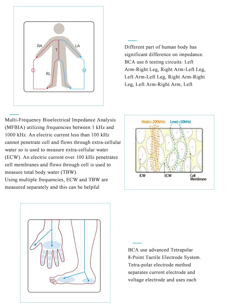 

Professional manufacturers supply body composition analyzer