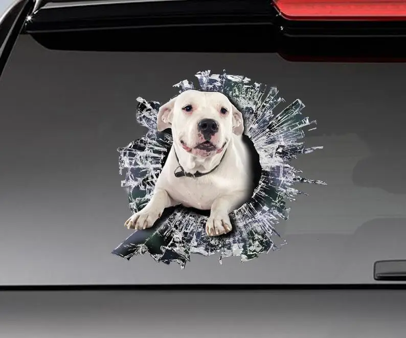 

White pitbull window sticker , car decoration, window pet sticker , Vinyl decal, white pitbull decal