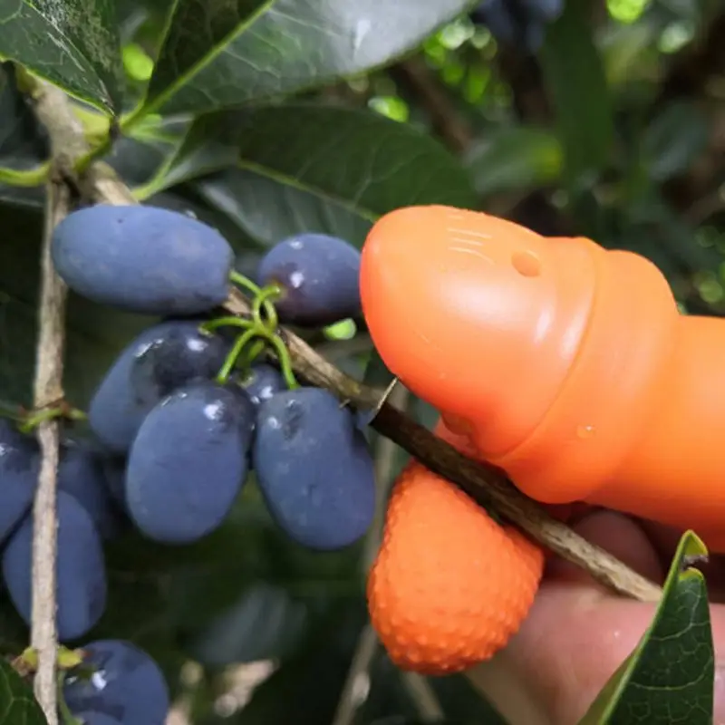 Креативные инструменты для сбора овощей и фруктов защитные перчатки из