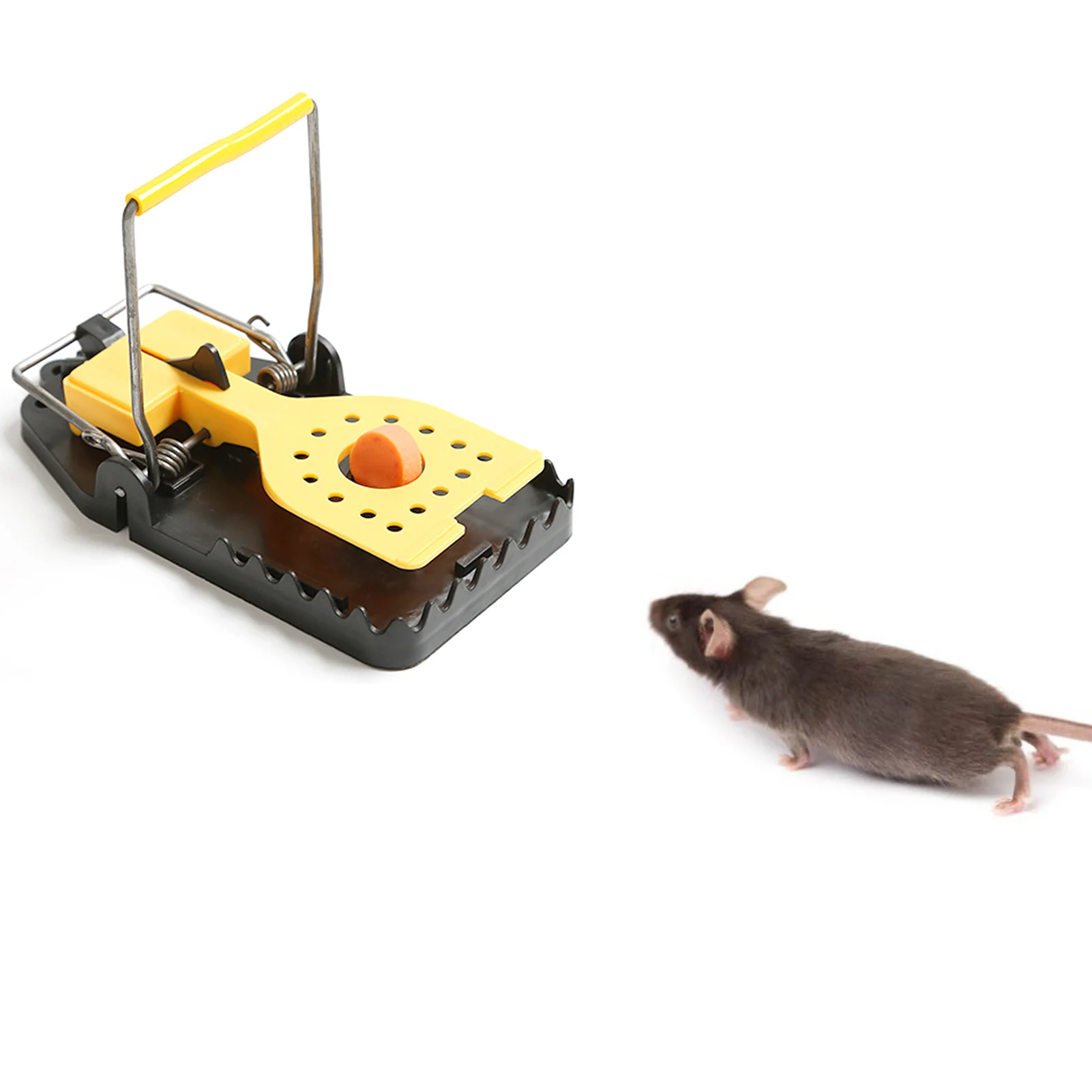

12pcs High Qulity Reusable Mousetrap Rat Catching Mice Mouse Traps Mousetrap Bait Snap Spring Rodent Catcher Pest Control