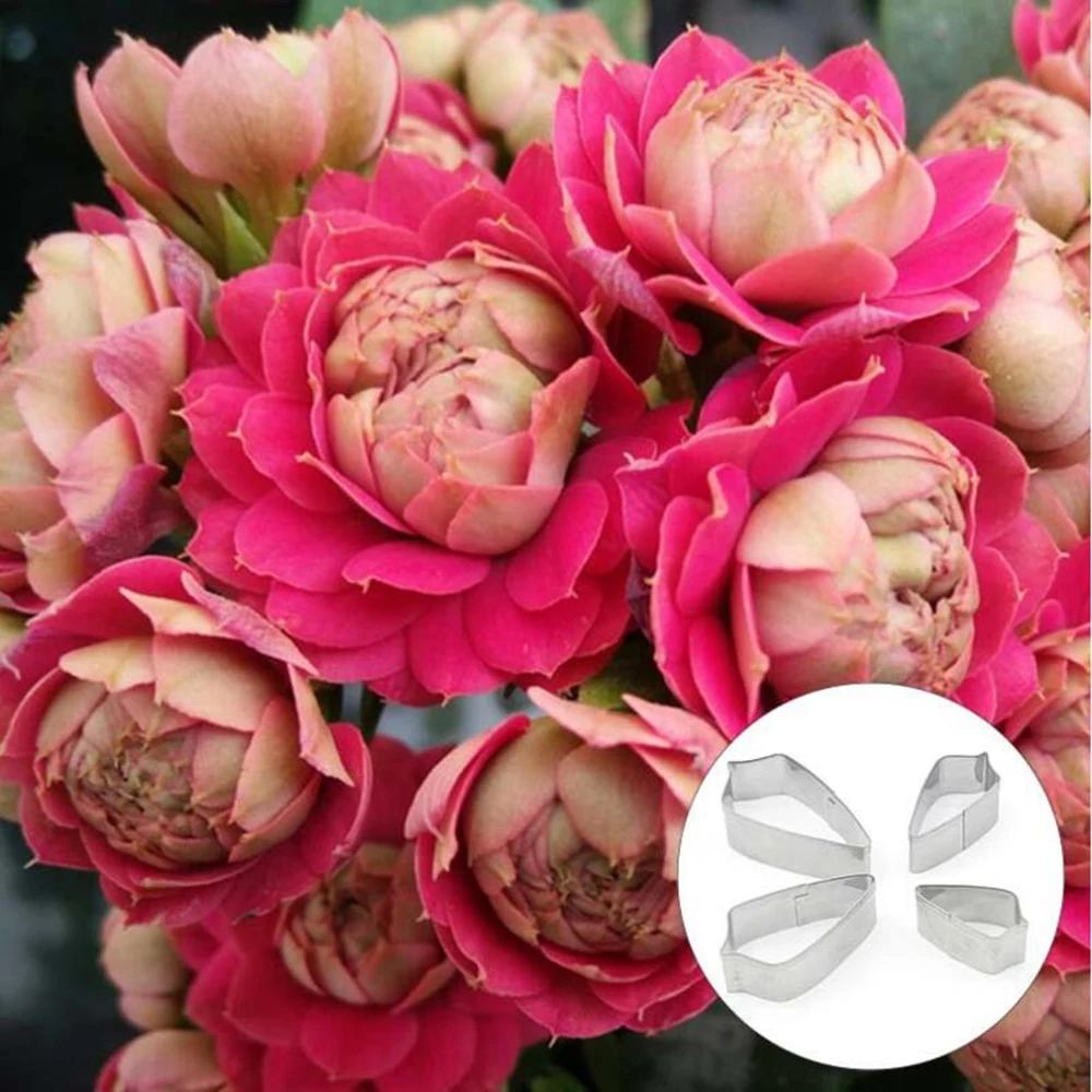 Резак для глины из нержавеющей стали 4 шт./лот форма резки лепестков камелии