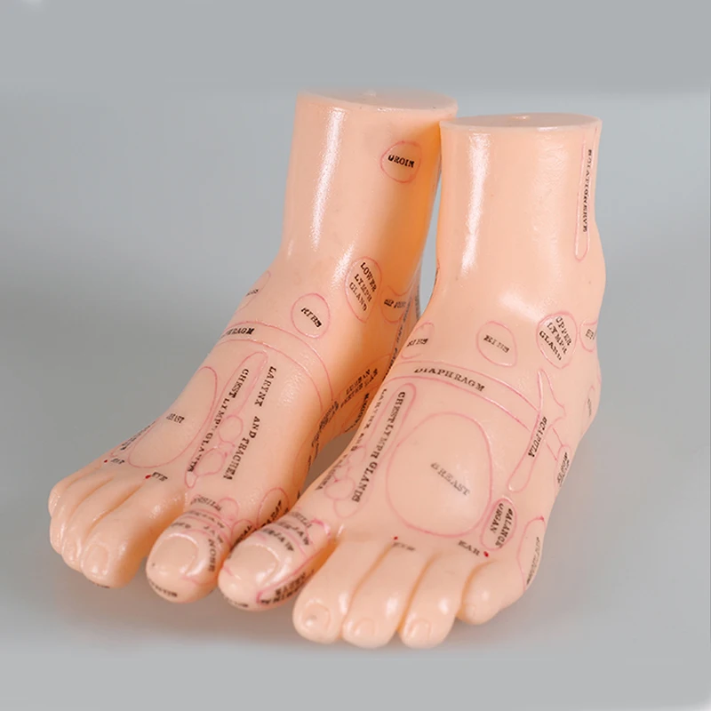 1 пара акупунктурная модель для массажа ног |