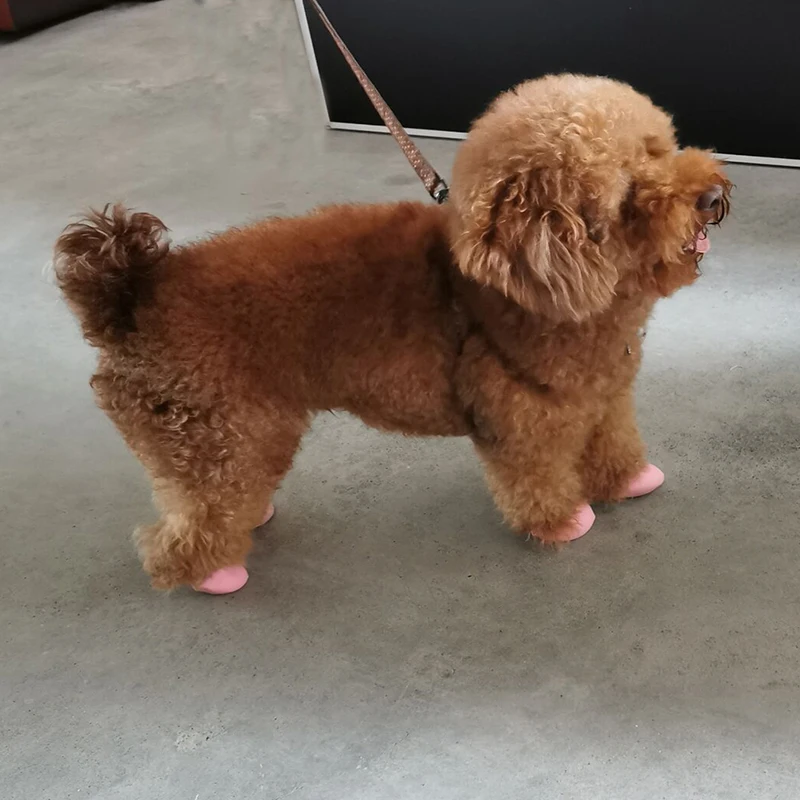 Водонепроницаемая Обувь для собак чихуахуа тип воздушных шаров резиновые сапоги