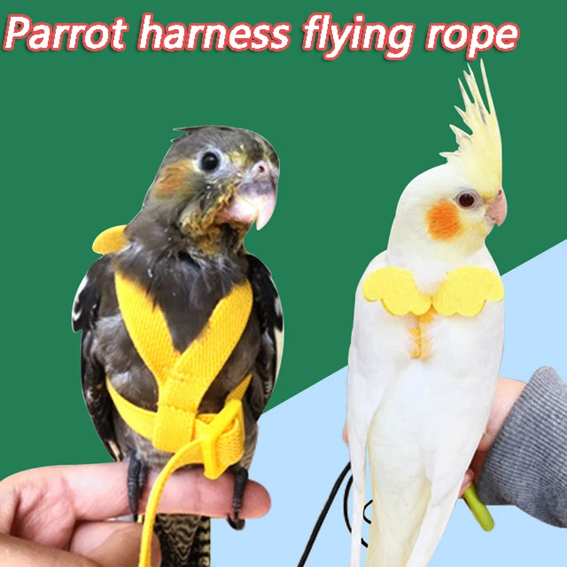 

Parrot Flying Harness Leash Suit Pet Bird Outdoor Flight Training Rope Cockatiel Supplies Macaw Accessories Stuff for Budgie