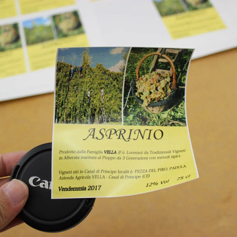 Пользовательский дизайн печать на клейкой основе рулон этикеток машина для