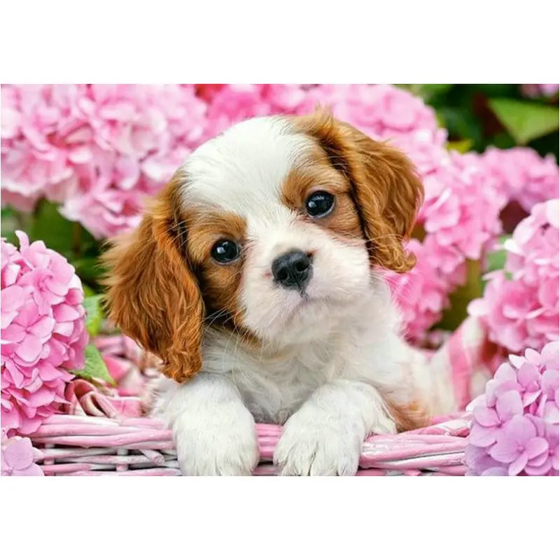 Цветы щенка-алмазная живопись | Дом и сад