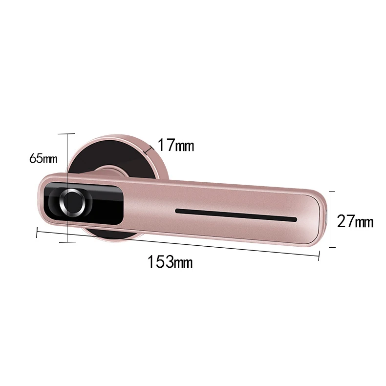 

Fingerprint Door Lock Electric Fingerprint Lock with Mechanical Key for Indoor Home Access Control(Single Tongue Right)