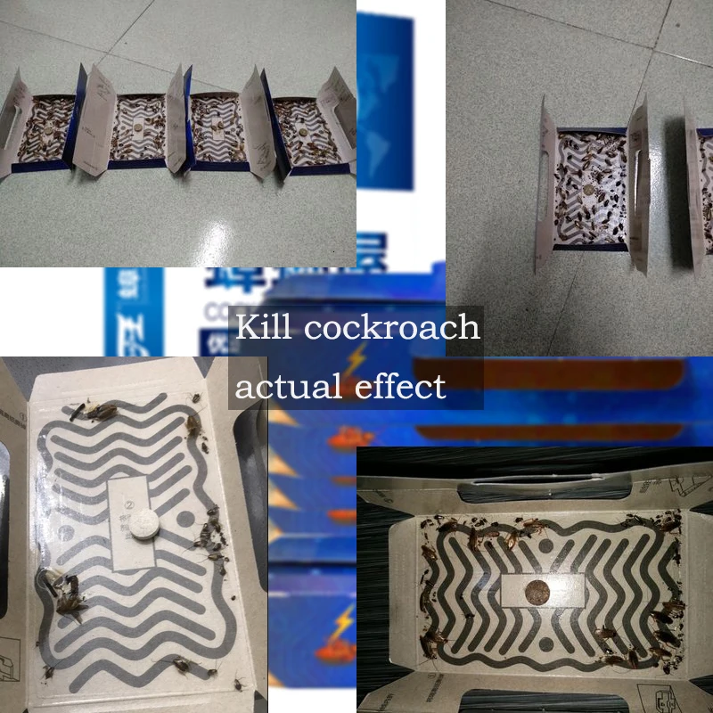 10 шт./1 коробка ловушка для тараканов | Дом и сад